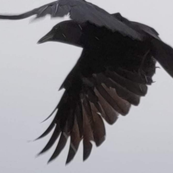 Hello! - Picture 2 of 2